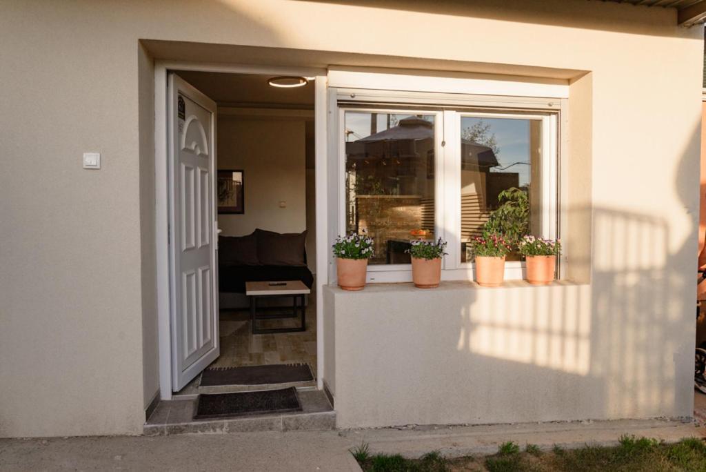 Apartman Sen'S Leskovac  Bagian luar foto